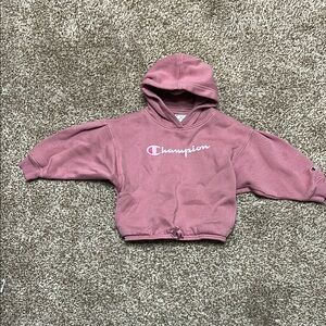 Champion Pink Cropped Hoodie Sweatshirt